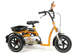 the electric motorbike company