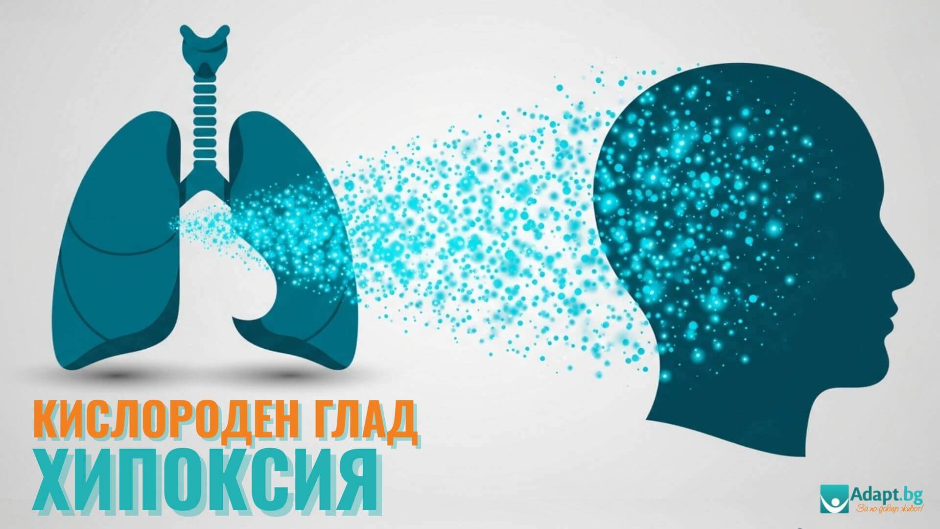 Илюстрация на бели дробове и мозък, символизираща връзката между дишането и мозъчната функция