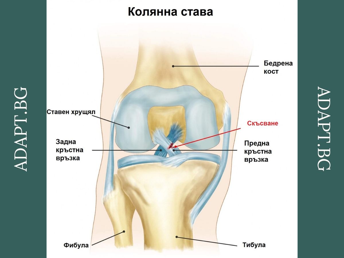 Наташа, ответь мне, или История про Николая Кровавого