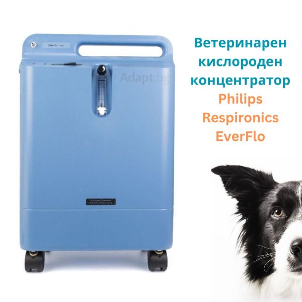 Philips Respironics EverFlo Oxygen Concentrator