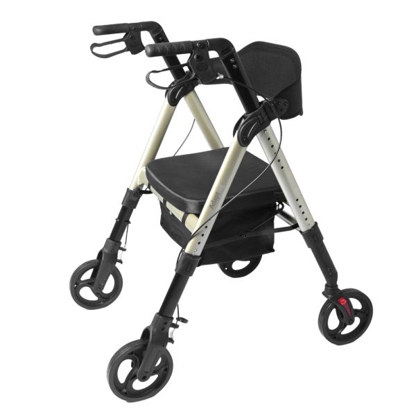 Aluminum Rollator GO