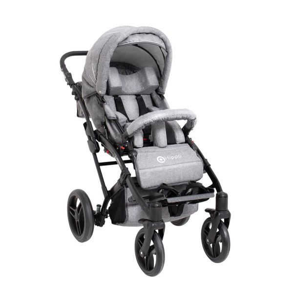 Special buggy for children with disabilities Hippo New
